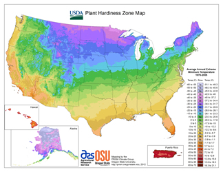 USDA Plant Hardiness Zone Map for the United States